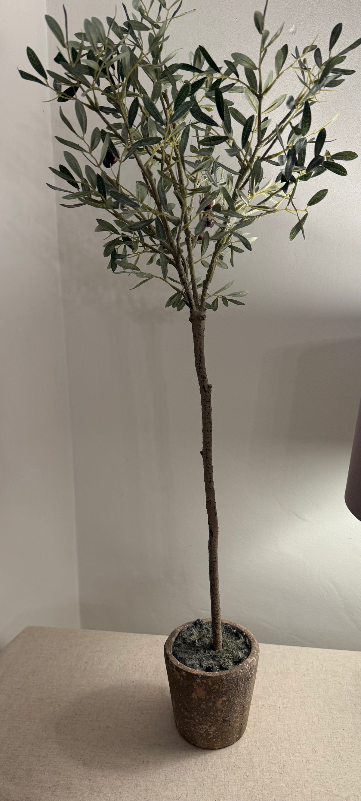 Faux Olive Tree in Rustic Terracotta-Effect Pot